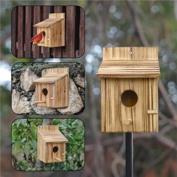 Wood Bird Houses for Outside with Pole -  for Finch Bluebird - Picture 4 of 7